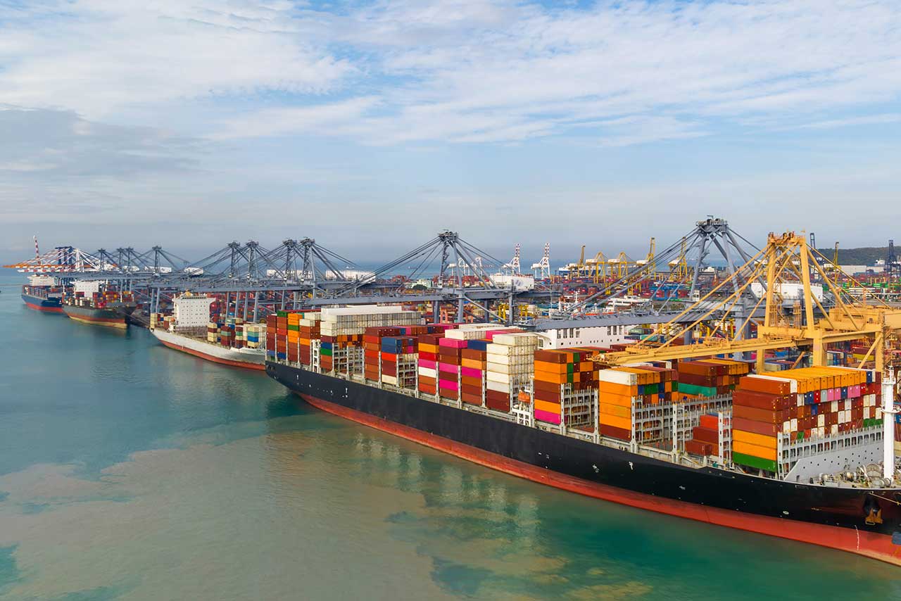 Container port and cargo terminal